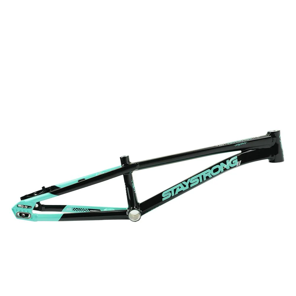 Stay Strong For Life V5.1 Pro Cruiser Frame - Image 10