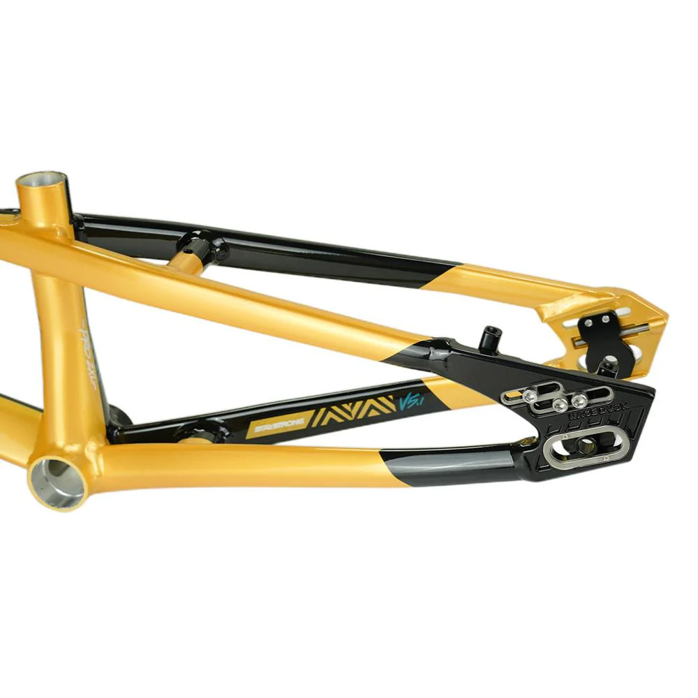 Stay Strong For Life V5.1 Pro Cruiser Frame - Image 33