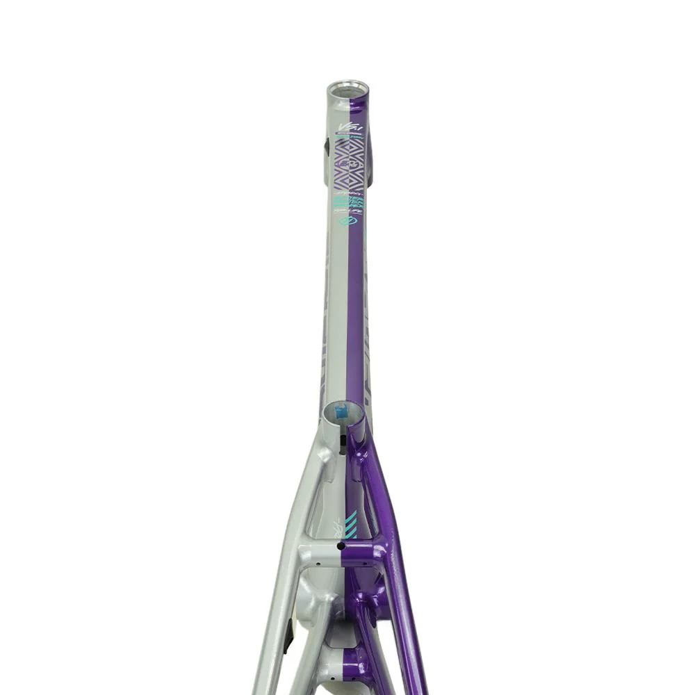 Stay Strong For Life V5.1 Pro Cruiser Frame - Image 41