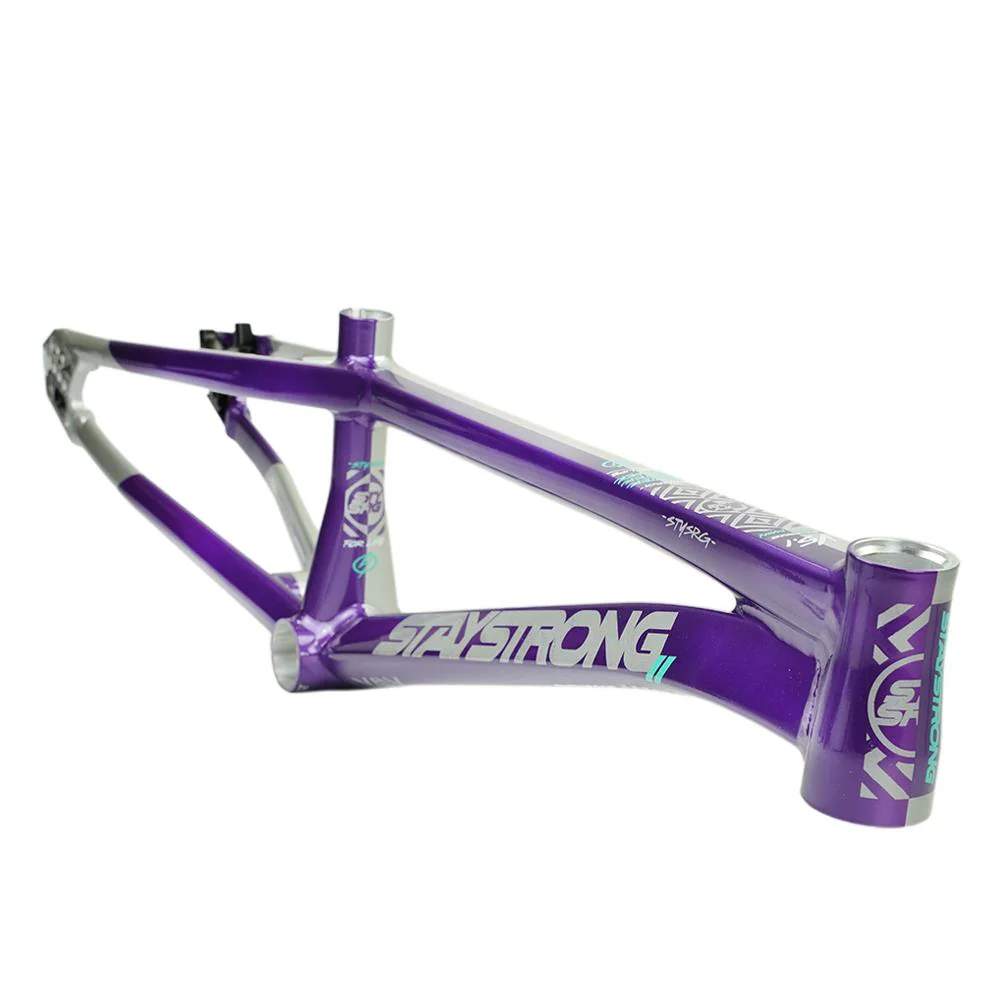Stay Strong For Life V5.1 Pro Frame - Image 12