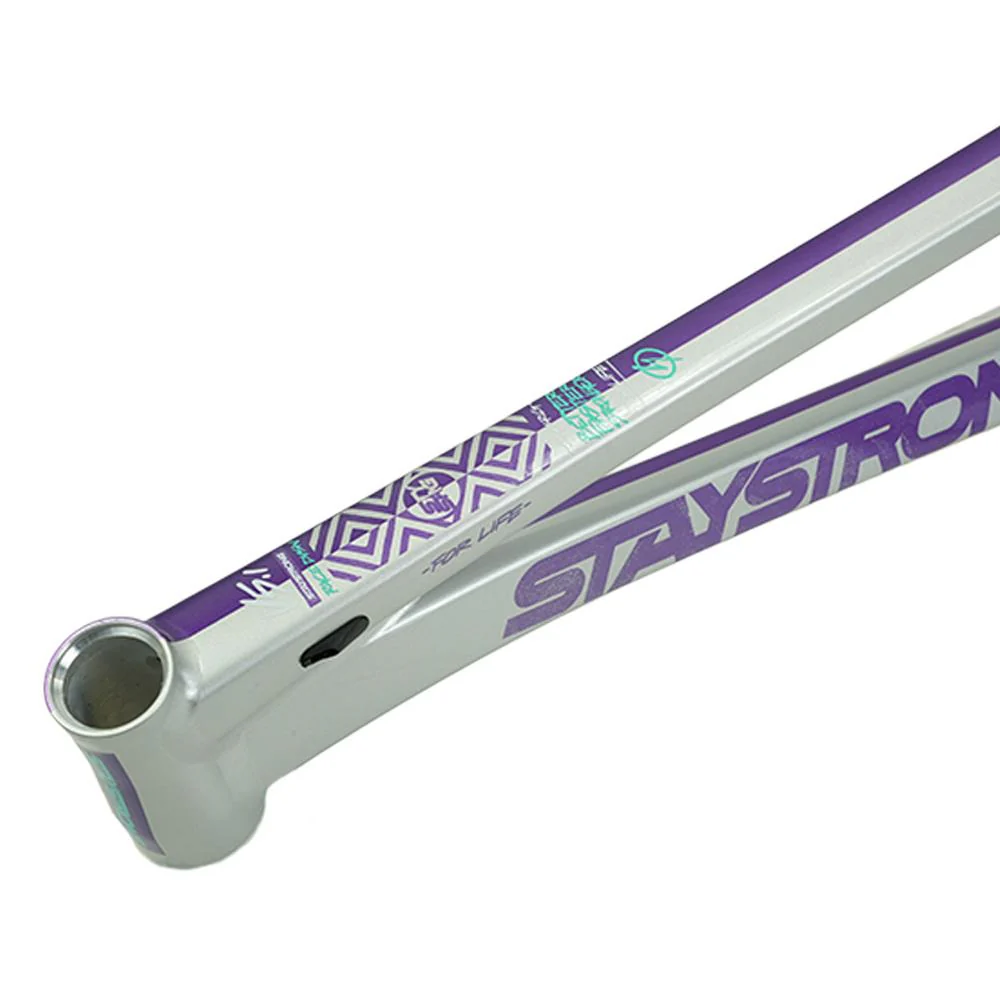 Stay Strong For Life V5.1 Pro Frame - Image 18