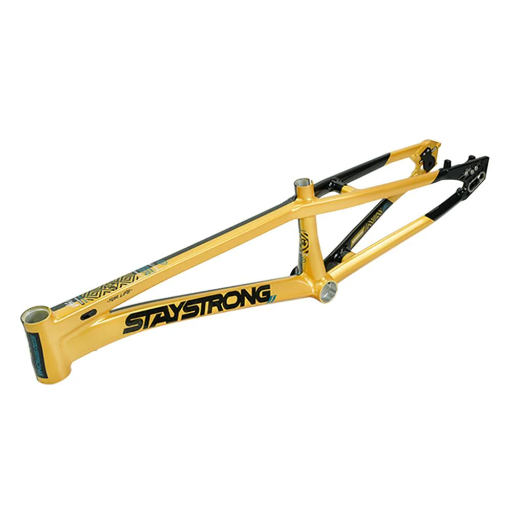 Stay Strong For Life V5.1 Pro Frame - Image 31