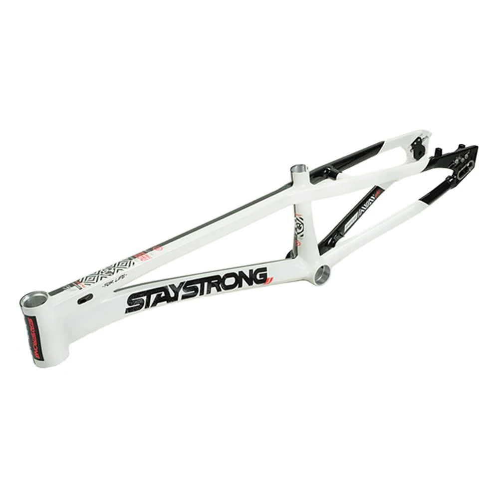 Stay Strong For Life V5.1 Pro Frame - Image 40