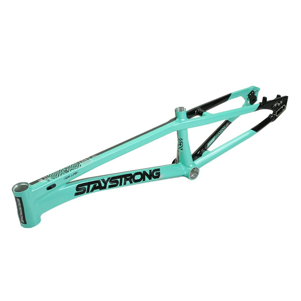 Stay Strong For Life V5.1 Pro XL Frame - Image 13