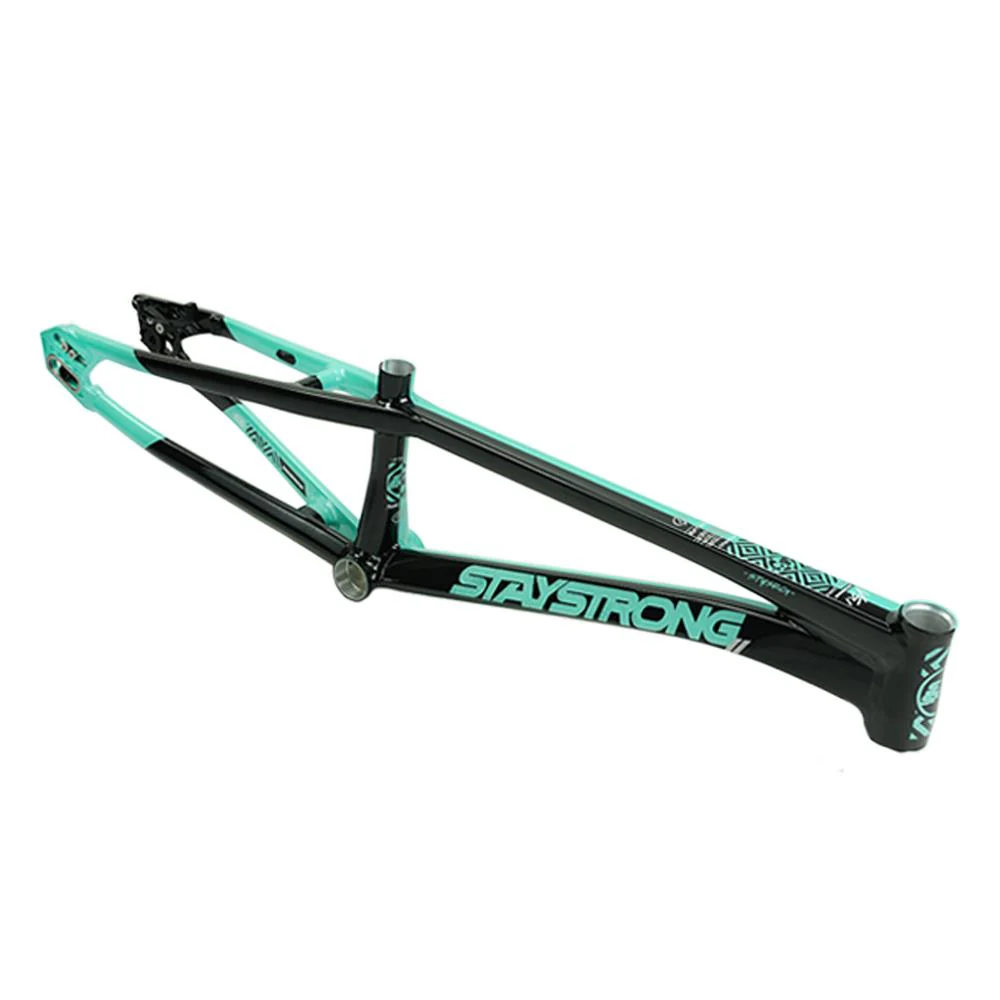 Stay Strong For Life V5.1 Pro XXL Frame - Image 23