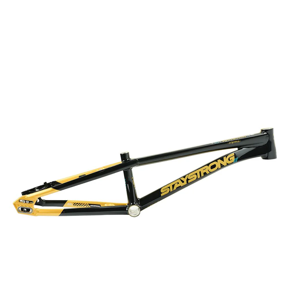 Stay Strong For Life V5.1 Pro XXL Frame - Image 28