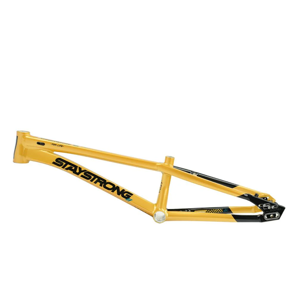 Stay Strong For Life V5.1 Pro XXL Frame - Image 29
