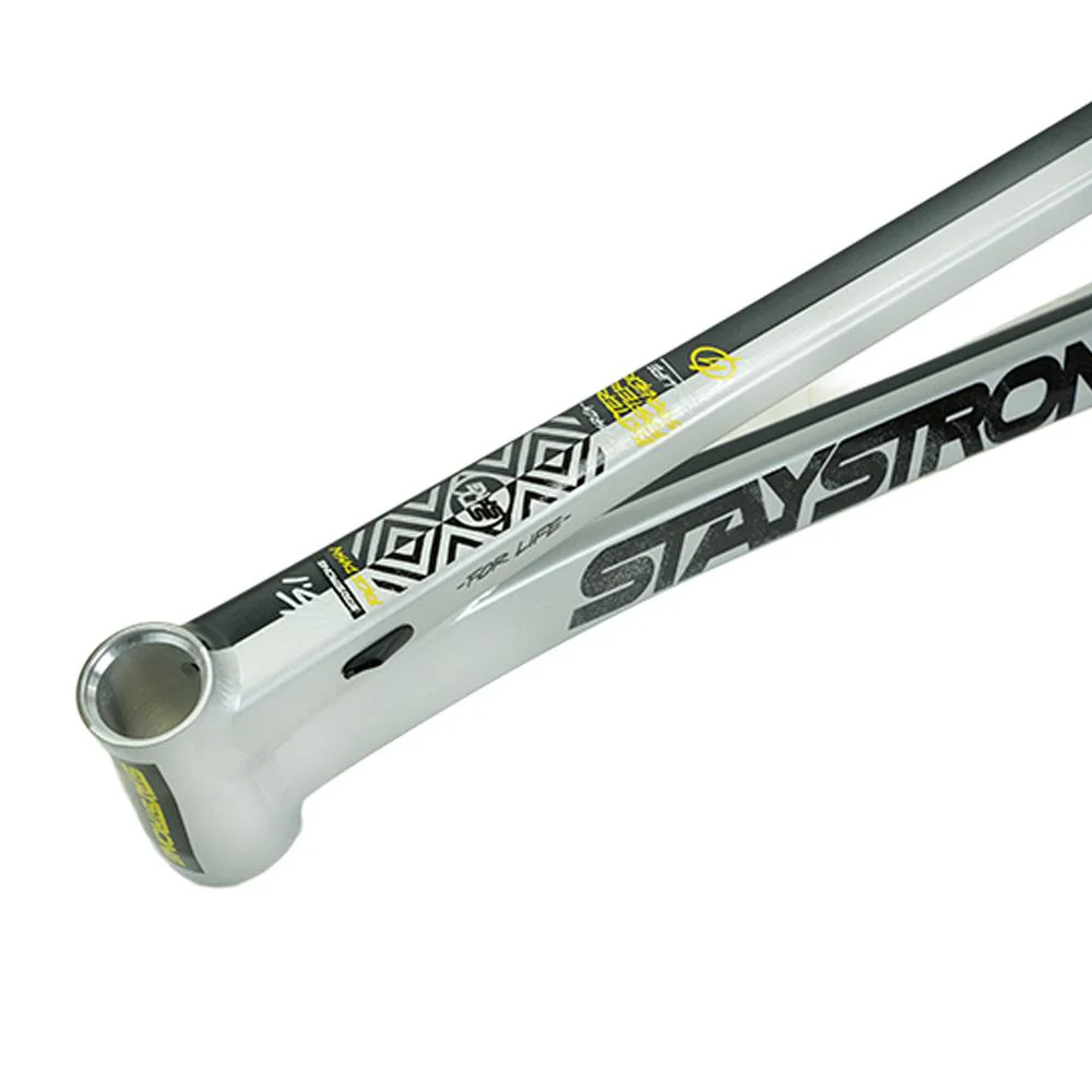 Stay Strong For Life V5.1 Pro XXL Frame - Image 43