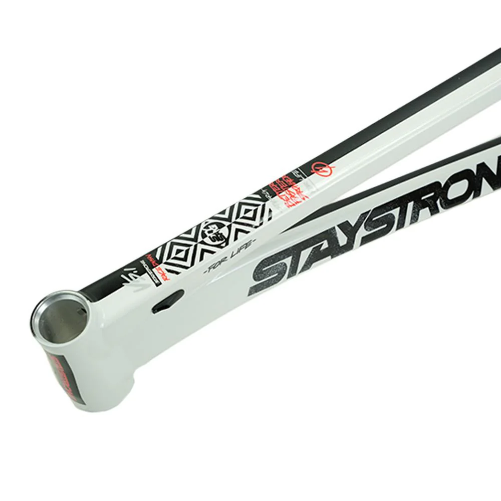 Stay Strong For Life V5.1 Pro XXXL Frame - Image 33