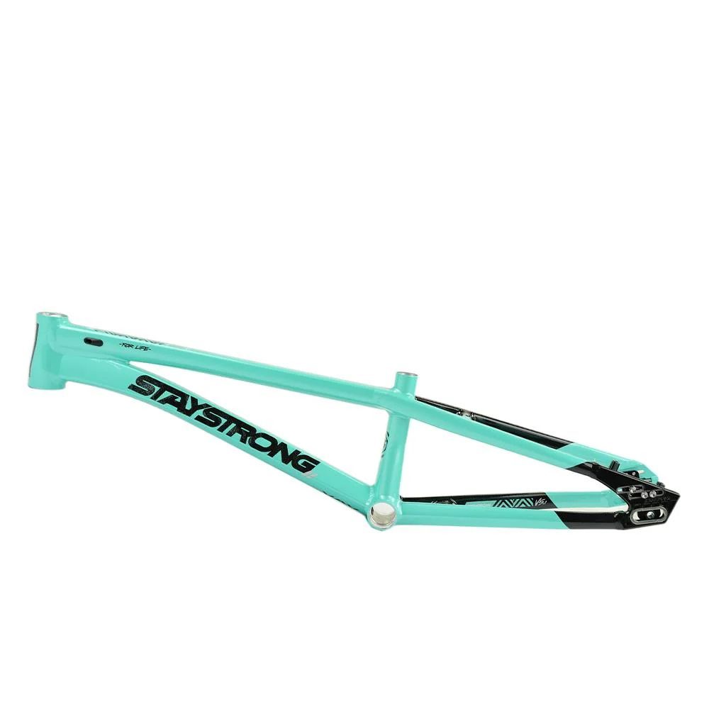 Stay Strong For Life V5.1 Pro XXXL Frame - Image 36