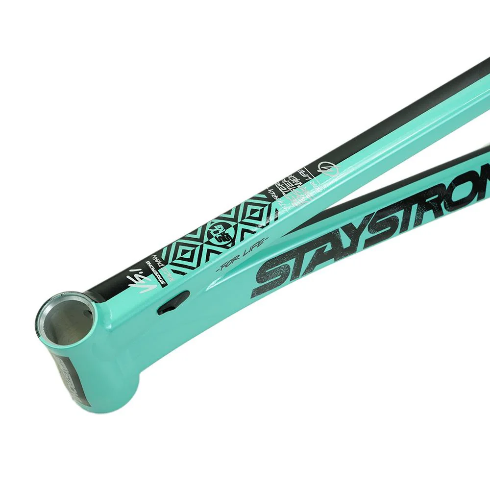 Stay Strong For Life V5.1 Pro XXXXL Frame - Image 18