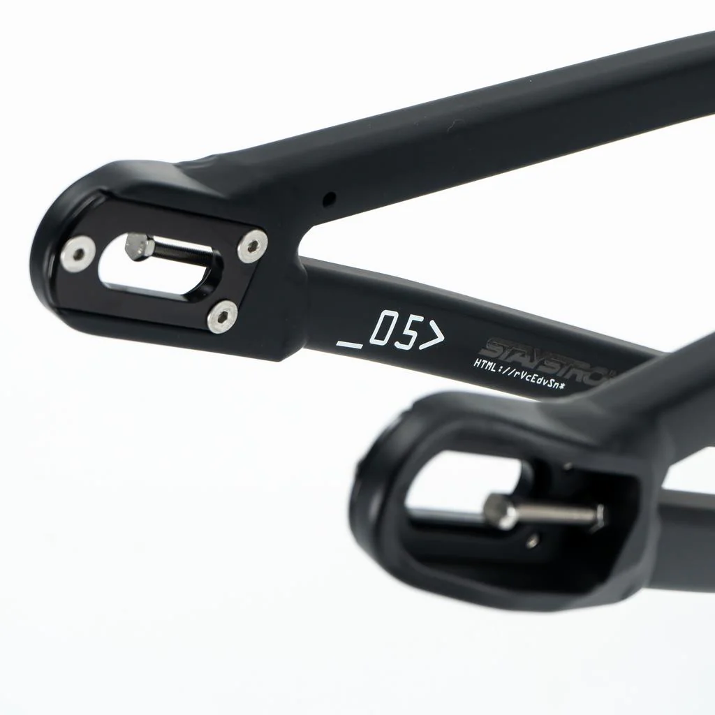 Stay Strong For Life V5 Expert Frame 2025 - Image 4