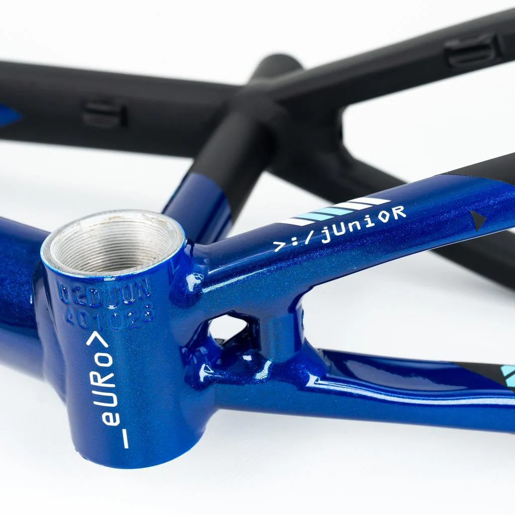 Stay Strong For Life V5 Expert Frame 2025 - Image 7
