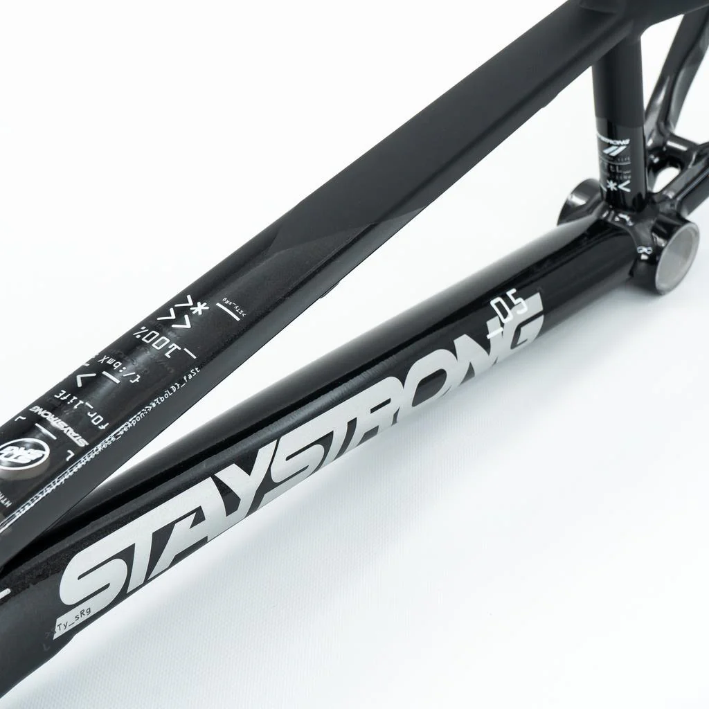 Stay Strong For Life V5 Expert XL Frame 2025 - Image 11