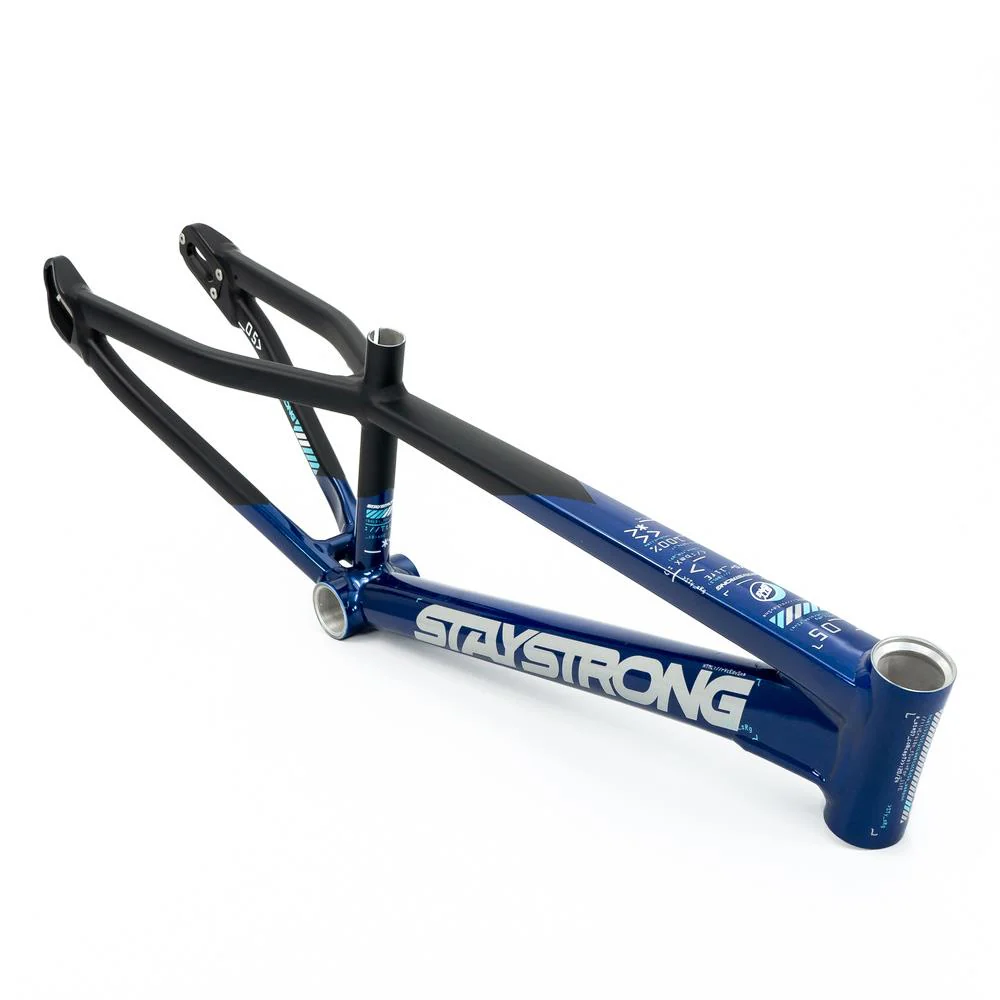 Stay Strong For Life V5 Expert XL Frame 2025 - Image 13
