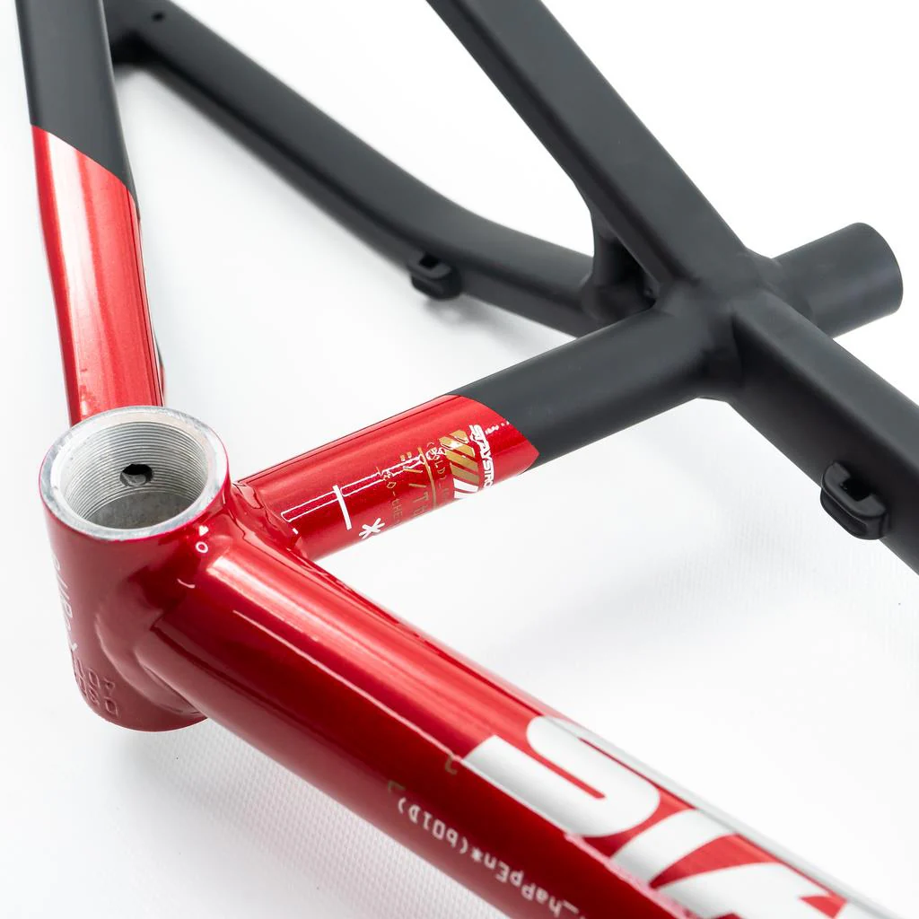 Stay Strong For Life V5 Expert XL Frame 2025 - Image 3