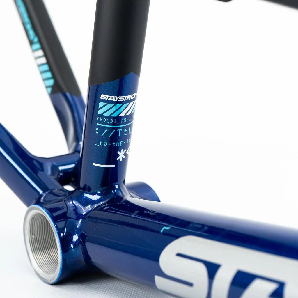 Stay Strong For Life V5 Junior Frame 2025 - Image 9