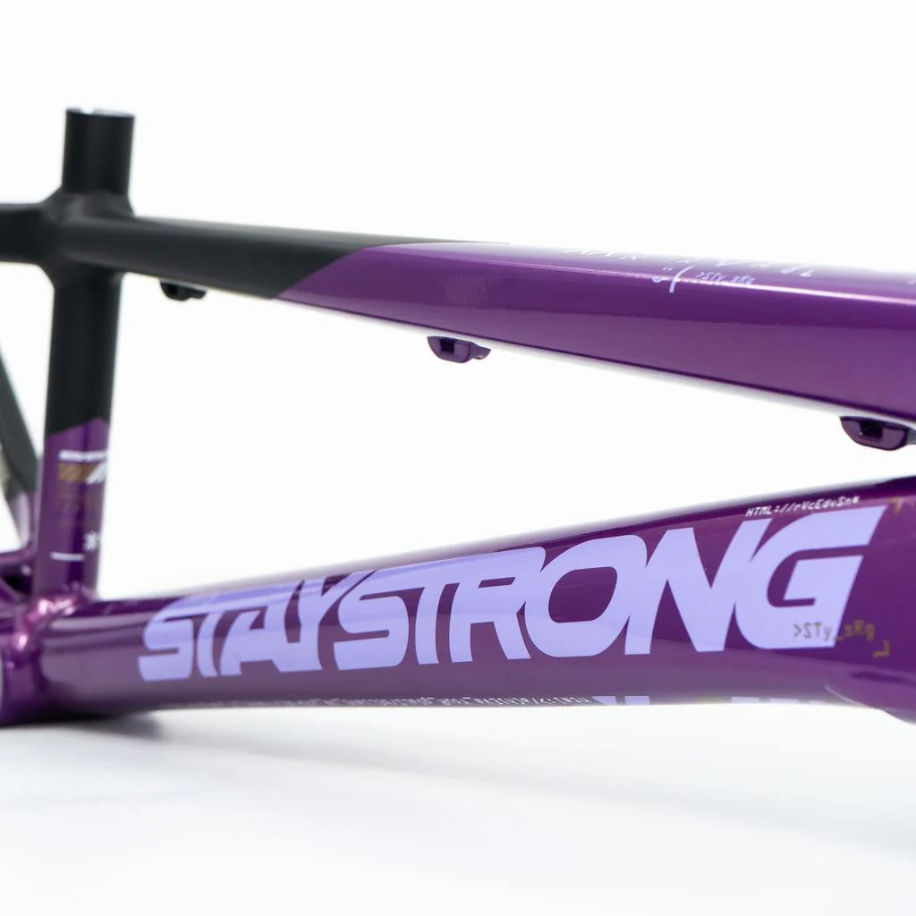Stay Strong For Life V5 Mini Frame 2025 - Image 10