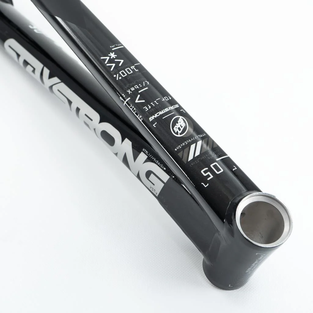 Stay Strong For Life V5 Mini Frame 2025 - Image 7