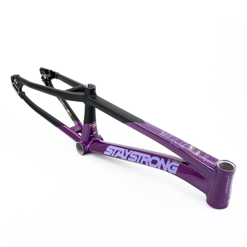 Stay Strong For Life V5 Pro Frame 2025 - Image 15