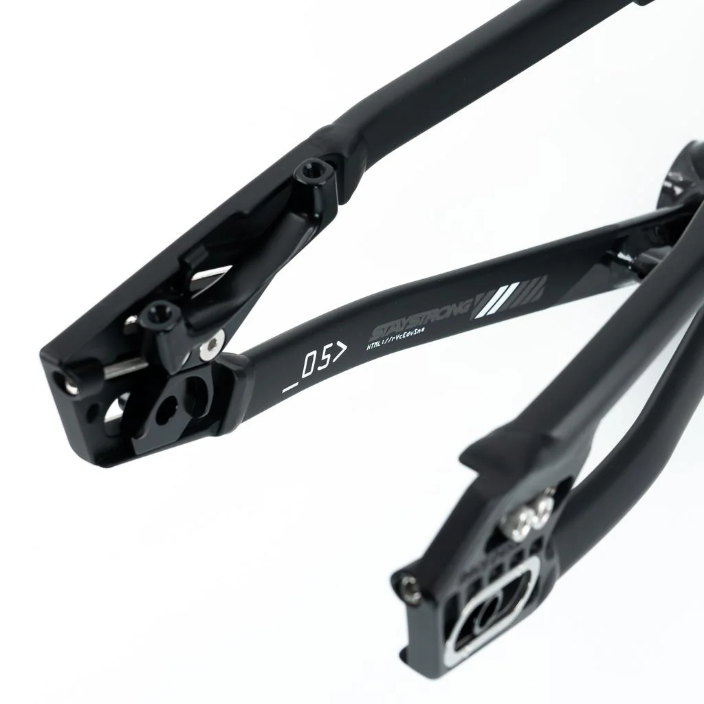 Stay Strong For Life V5 Pro Frame 2025 - Image 4