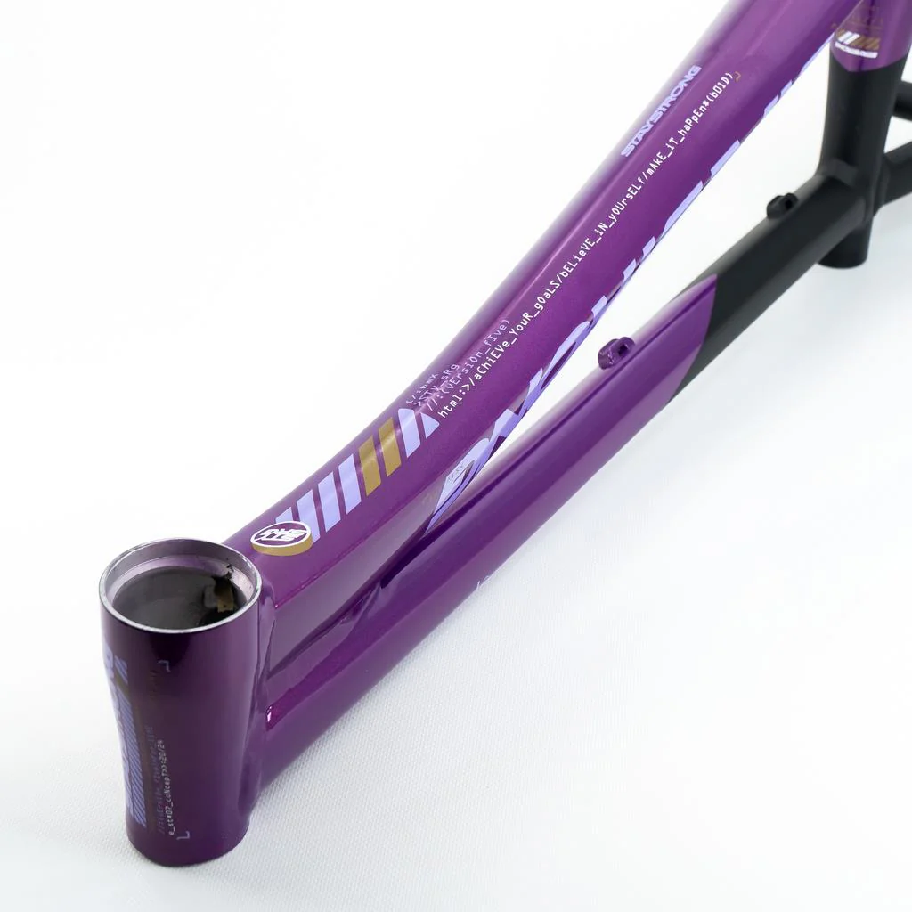 Stay Strong For Life V5 Pro Frame 2025 - Image 8