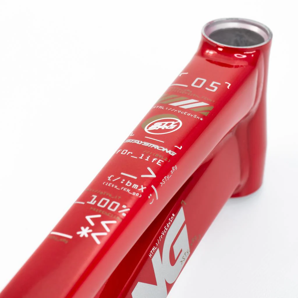 Stay Strong For Life V5 Pro XXXXL Frame 2025 - Image 11