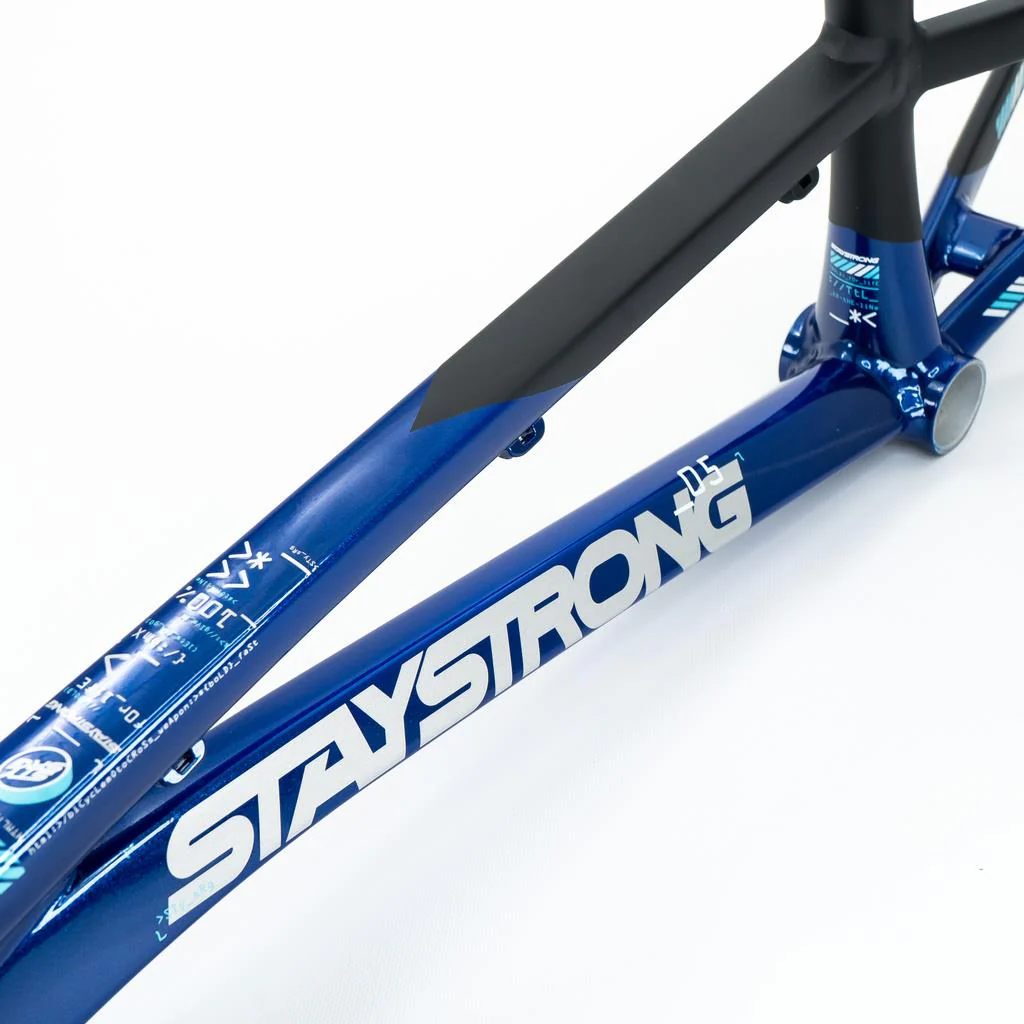 Stay Strong For Life V5 Pro XXXXL Frame 2025 - Image 3